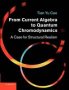 From Current Algebra To Quantum Chromodynamics - A Case For Structural Realism   Paperback