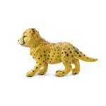 Cheetah Cub By