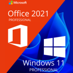 Office 2021 Professional & Windows 11 Professional Bundle