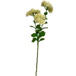 - Sedum - Cream - 56CM