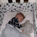 Delicious Monsters Cot Bumper - Moon & Stars