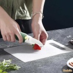 Stainless Steel 2 In 1 Fruit Knife With Peeler - Orange