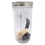 Regent Sourdough Starter Kit 730ML 4 Piece