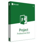 Microsoft Project Professional 2019 Retail Esd License For 1 User On 1 Windows Device