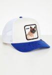 Goorin V2 Cool Cat S24 - Blue & Cream