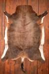 A Grade Blesbok Hide