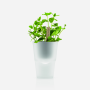 Eva Solo Herb Pot - Frosted Glass