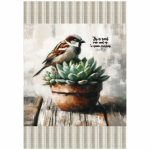FSC1042 Kitchen Towel