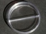 Petri Dish 90MM Half Plate Plastic Box 500 Sterile