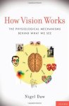 How Vision Works: The Physiological Mechanisms Behind What We See