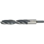 Alpen Wood Drill Bit 20 X 178 Mm ALP61620