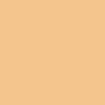 Dark Lions Den – Economic Enamel Gloss