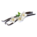 Madagascar Vanilla Classic - 50ML