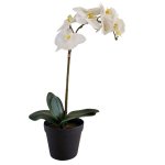 Curved Stem Artificial Orchid In Black Pot