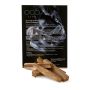 Palo Santo - Sacred Holy Wood - 5 Sticks