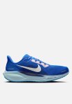 Nike Air Zoom Pegasus 41 Cm