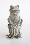 Sitting Frog On Seed Pod – 32X16CM