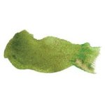 Primatek Watercolour Paint - 5ML - Serpentine Genuine