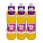 Dalys Ready To Drink Mango Orange Flavoured Juice 6X300ML