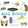 Bug Bingo   Game