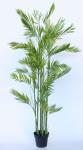 Tall Tree In Pot – 180X65CM
