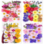 Dried Pressed Flowers For Resin Scrapbooking Candle Soap Nail Art Set