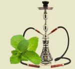 Peppermint Shisha Type Concentrate - 10ML