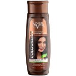 Coloursafe Hair Mask Chestnut 300ML