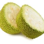 Jackfruit Concentrate - 50ML