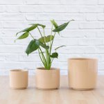 Migo Planter - Blush - 13CM
