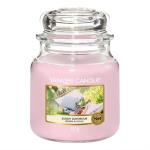 Yankee Candle Sunset Daydream Medium Jar Retail