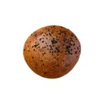 Sourdough Tomato Cumin Brioche Bun