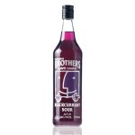 Blackcurrant Sour