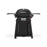 Weber Q2800N+ Series With Permanent Cart Gas Braai