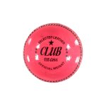 Pink Leather Two Piece Cricket Ball 135G