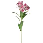 Single Peruvian Lily 20X20X80CM - Purple