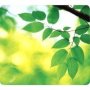 Fellowes Earth Series Mousepad Leaves