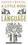 A Little Book Of Language   Paperback
