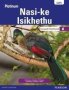 Platinum Nasi-ke Isikhethu Grade 8 Learner&  39 S Book   Isindebele Home Language  : Grade 8: Learner&  39 S Book   Paperback