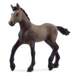 Horse Club - Peruvian Paso Foal