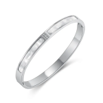 Shailey Cz Bangle Stainless Steel Clip Open Bangle Size Length: 17CM : 7-14 Days