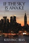 If The Sky Is Awake Hardcover