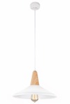 Duke Metal Pendant Light 2 Colours - Black