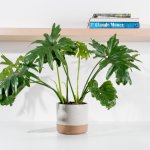 Ceramic Planter - Speckled White - Large 20.5 X 18.5CM