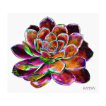 DR5 Art Print - 45 W X42 H Cm