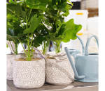 Faux Plant In Pot 30CM