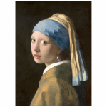 FSC2393 Printed Wall Hanging Prints Girl With Pearl Earring