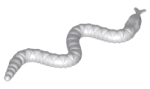 Parts Snake 30115 - Light Bluish Grey