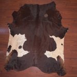Aas Grade Cow Hide 1041 Tricolour L - Extra Large Tricolour Panelled