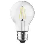 A60 LED Filament Globe